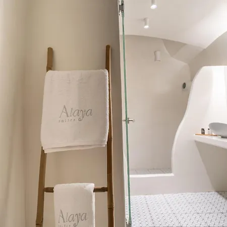 Hotell Alaya *